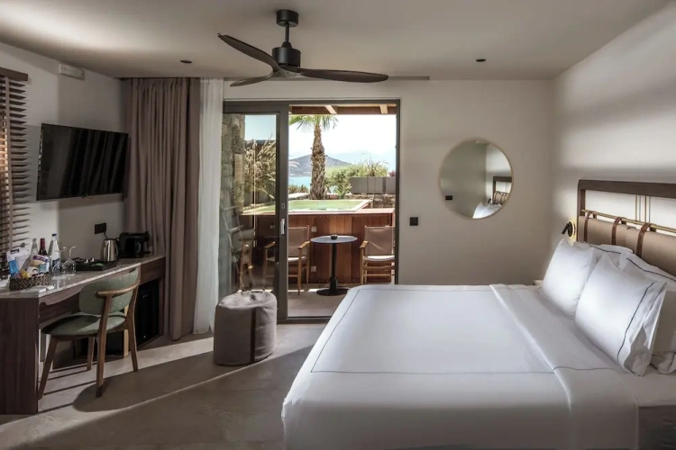 Plunge Pool Double room