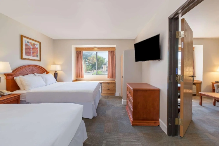 1 Bedroom Quadruple Suite