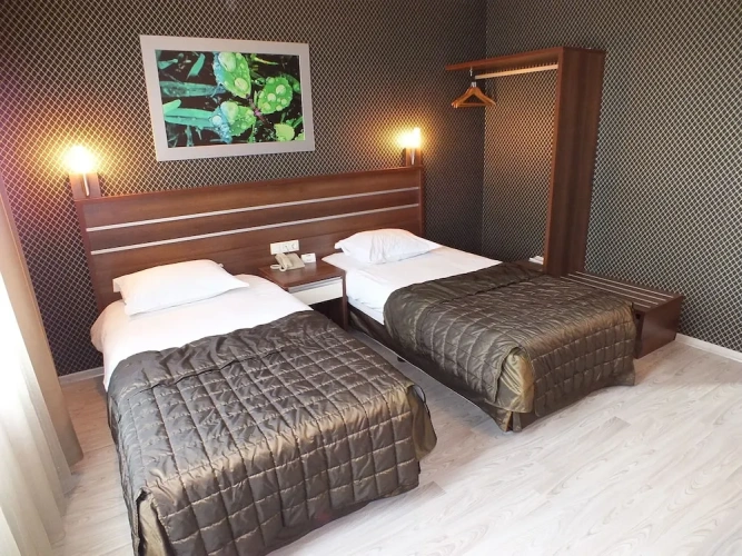 Standard Twin room with city view