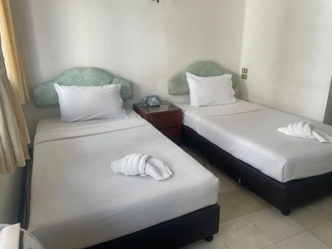 Deluxe Twin room with city view