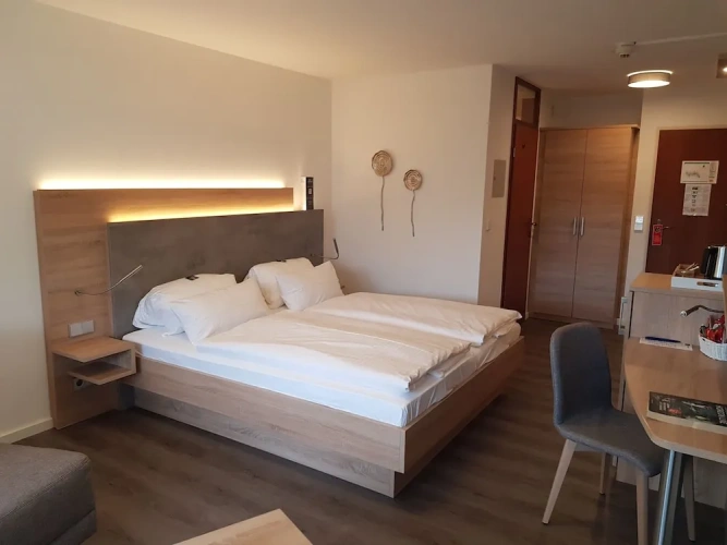 Comfort Double room with balcony and with park view