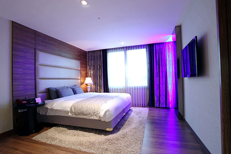 Hotel International