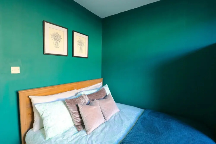 Comfortable Apartment in West End