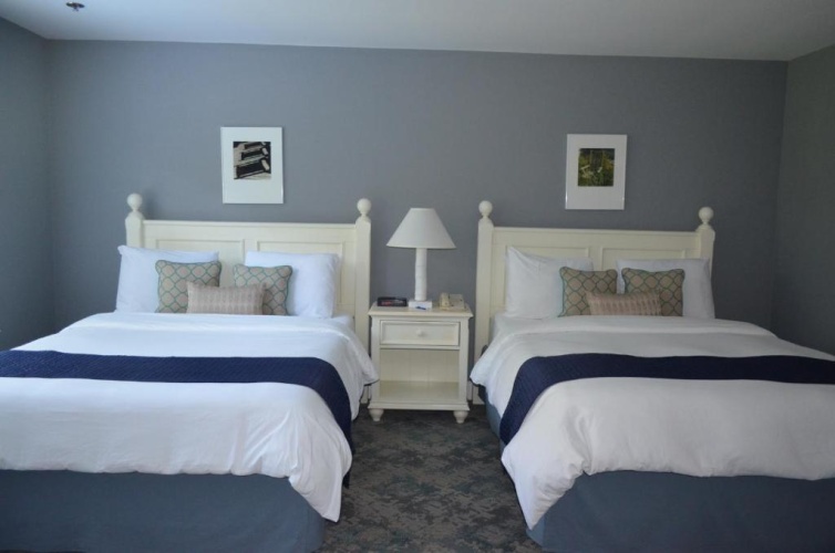Standard Double room with garden view