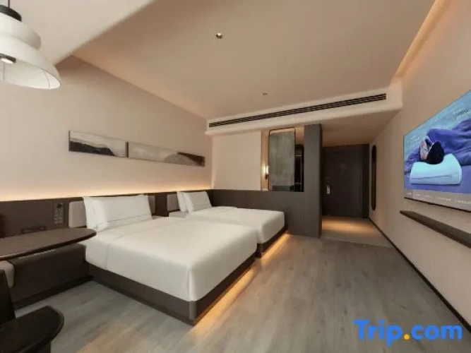 Executive Twin room with city view