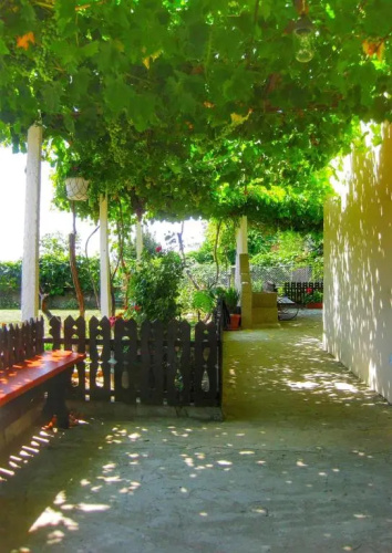 Guest House Dimi