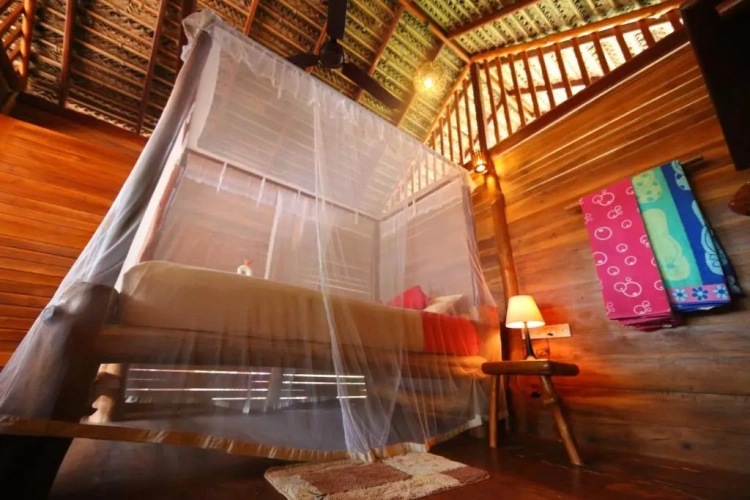 Standard room with sea view