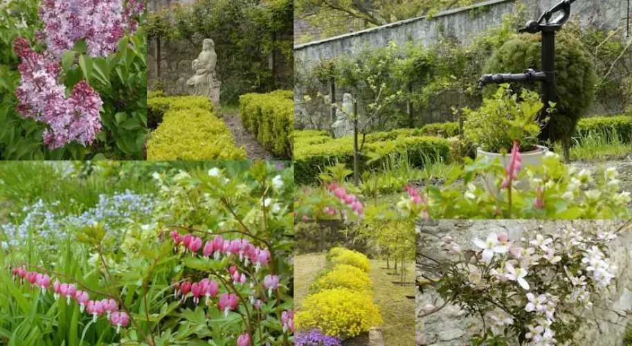 Villa Esther