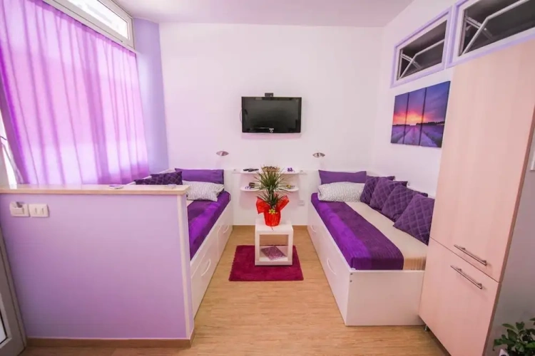 1 Bedroom Classic Apartment