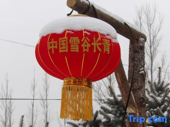 Wuchangxueguyanlingjiatinglvguan