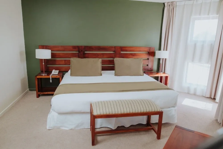 1 Bedroom Junior Suite