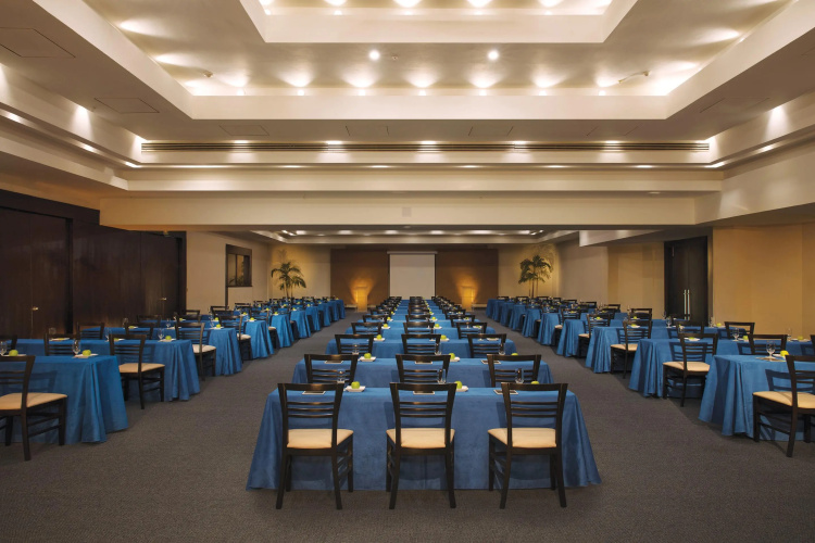 Dreams Huatulco Resort and Spa photo 14