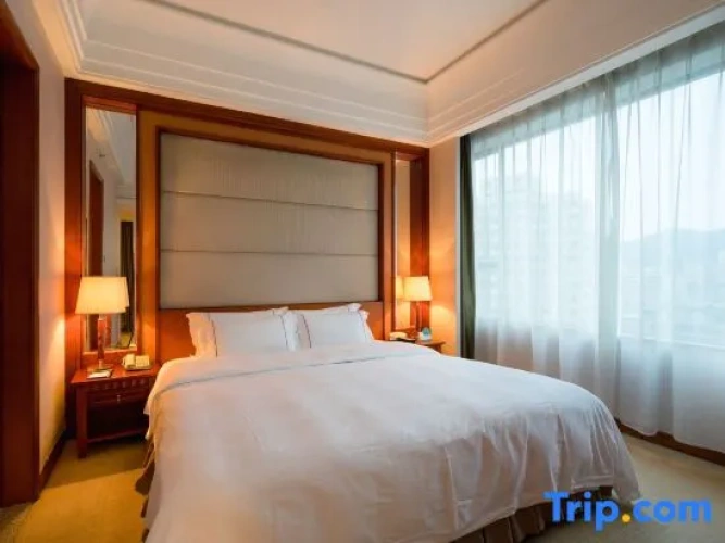 Business Single Suite