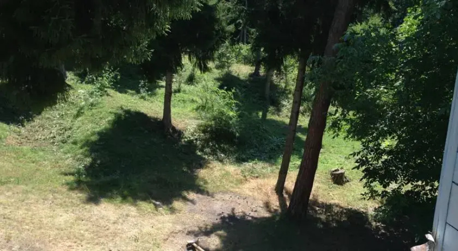Borjomi Plato Hostel