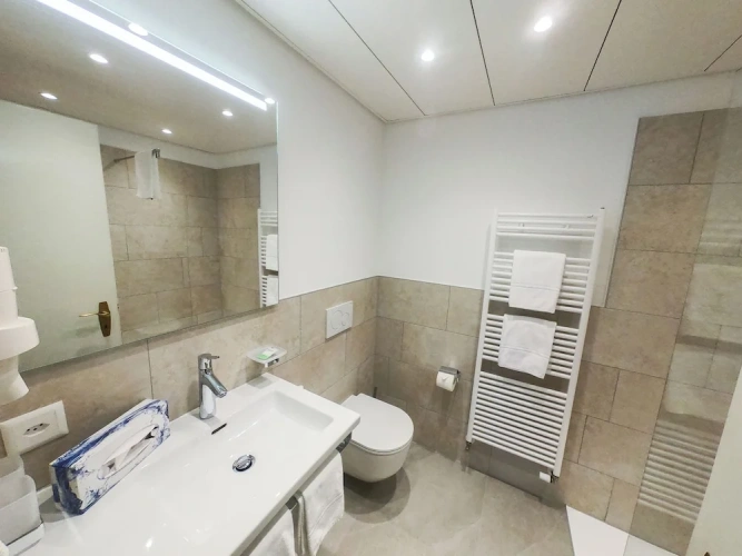 Superior Double room with balcony and with lake view