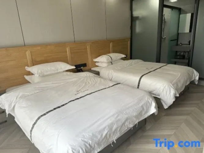Deluxe Double room with mountain view