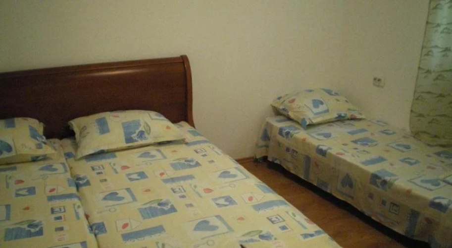 Hostel The Old House
