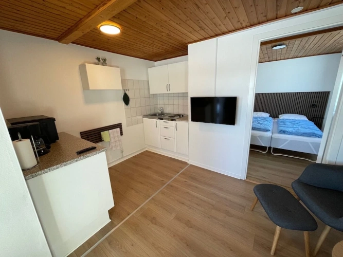 Classic Apartment