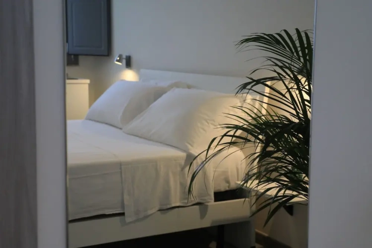 1 Bedroom Deluxe Double room