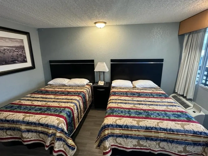 1 Bedroom Standard room