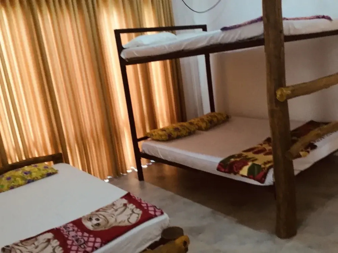 Jungle City Hostel