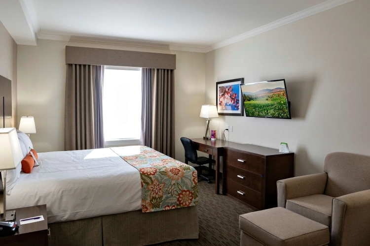 Premium Double room