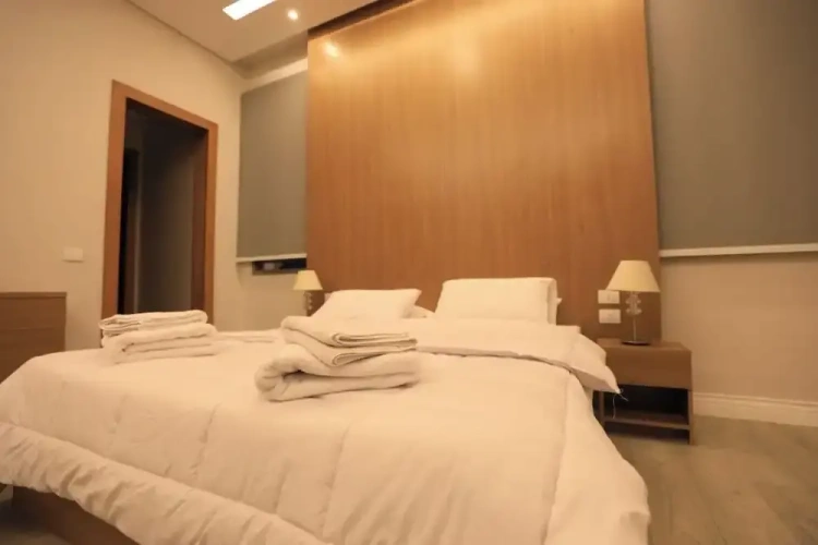 Luxury Apartment