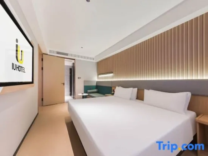 Superior Double Suite