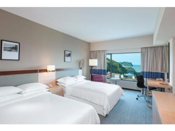 Deluxe Double room with view