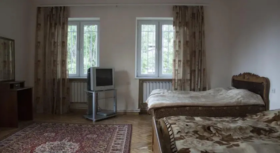 OWL Hostel and more