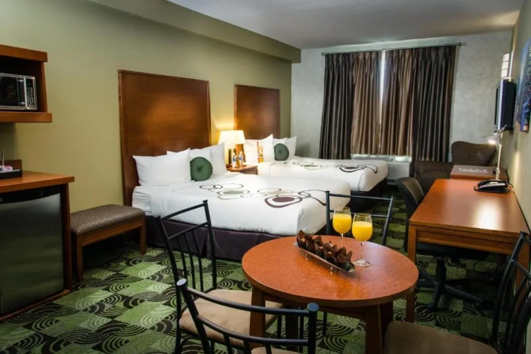 Quadruple Suite