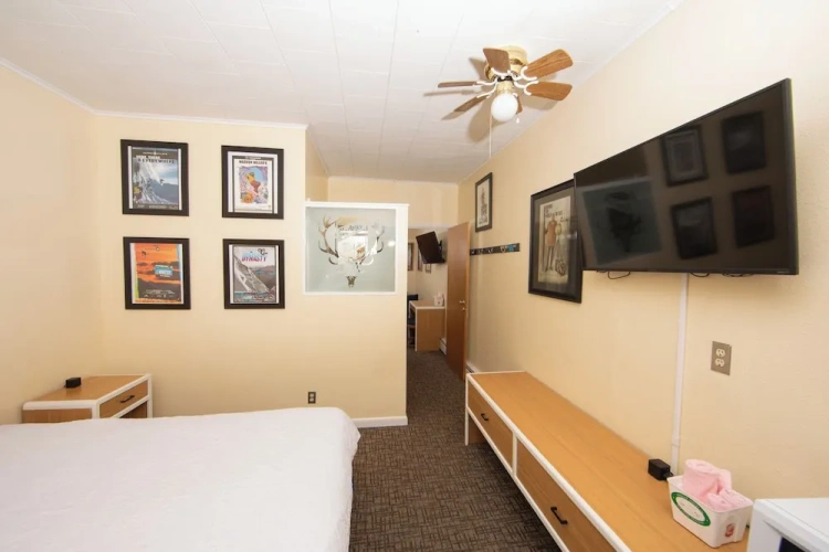 Standard Quadruple Suite