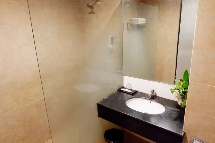 Deluxe Double room with city view