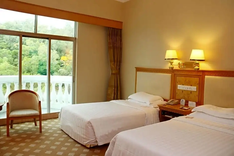 Standard Twin room with view