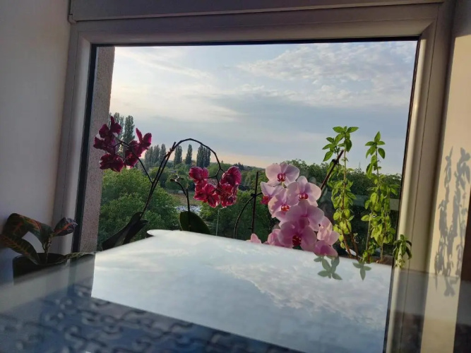 Lavanda Apartment