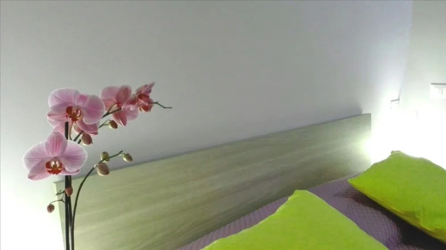 Maria Dream Rooms