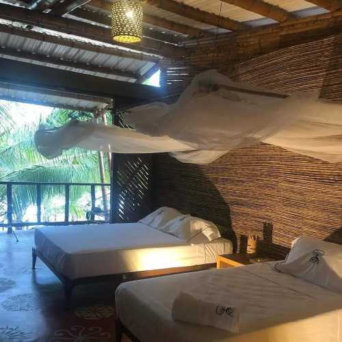 Hotel Ecohouse