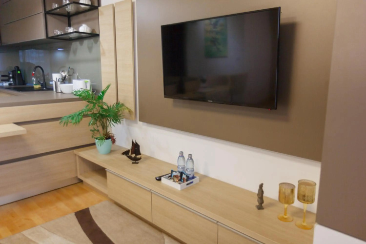 Presecan One Room Apartment with view