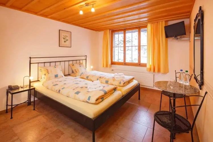 Classic Single room