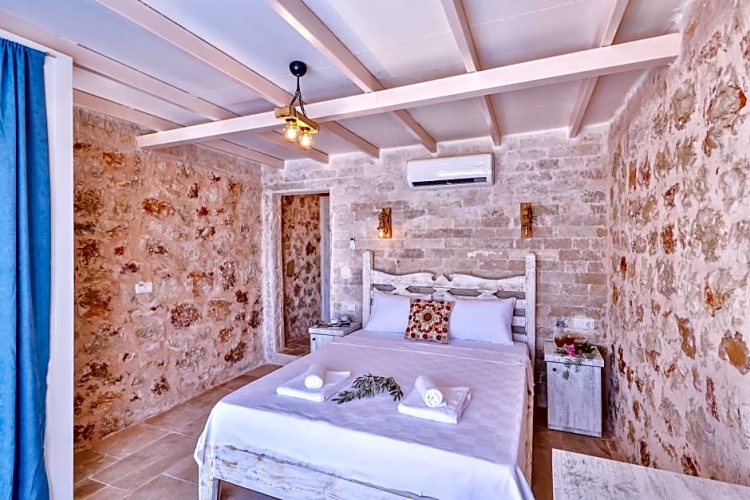 Standard Double room with pool view