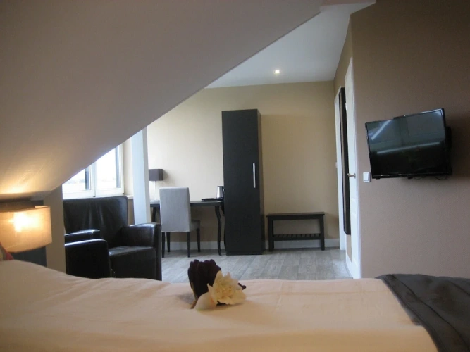 Deluxe Double room with garden view