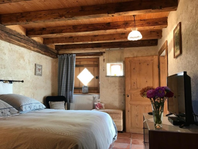 Standard Double room with garden view
