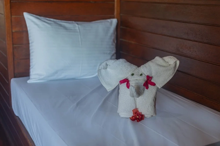 1 Bedroom Deluxe Double room with ocean view