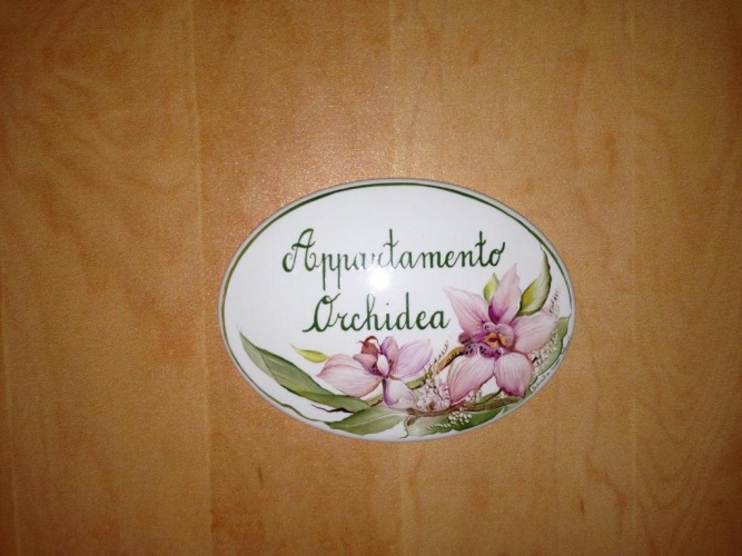 Double Apartment