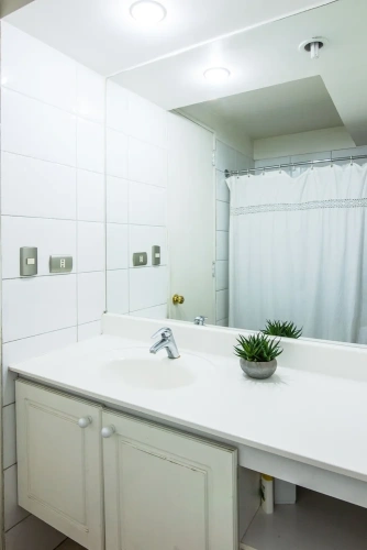 Business Double Apartment