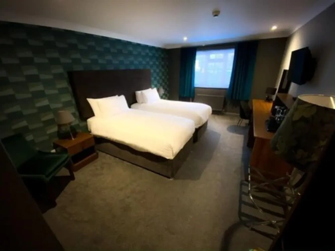 Superior Twin room with garden view