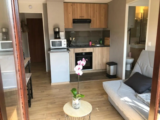 1 Bedroom Apartment