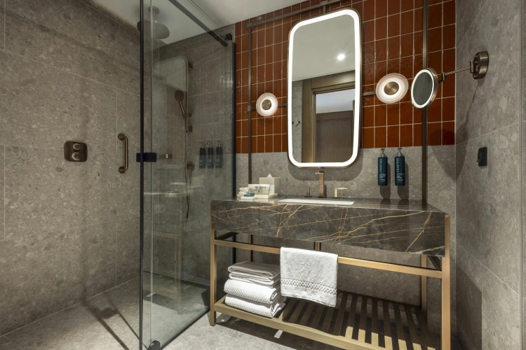 Deluxe Twin room with view