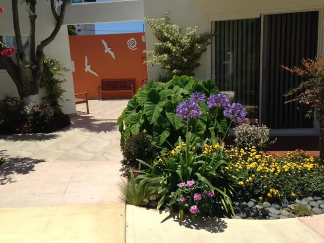 Dali Suites – Accommodations in Playas de Tijuana