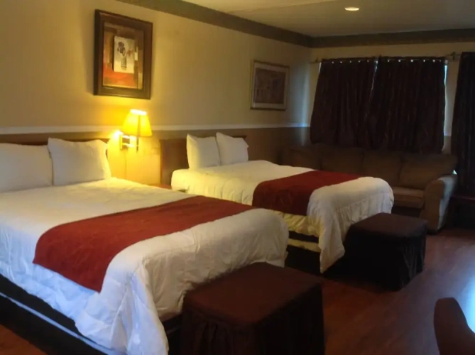 Standard Suite